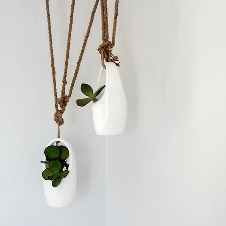 Paros Comfy Hotel Naoussa